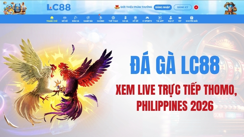 Đá Gà LC88 – Xem Live Trực Tiếp Thomo, Philippines 2026