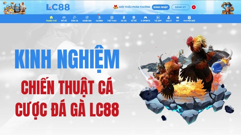 Đá Gà LC88 – Kinh Nghiệm & Chiến Thuật Cá Cược Đá Gà LC88